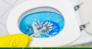 Thông nghẹt bồn cầu bị nghẹt vải Quận 7 BH 5năm 0903737957